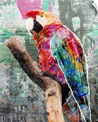 Pop Art - Parrot