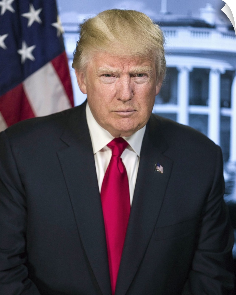Official portrait of President-elect Donald Trump. Library of Congress, Prints and Photographs Division.