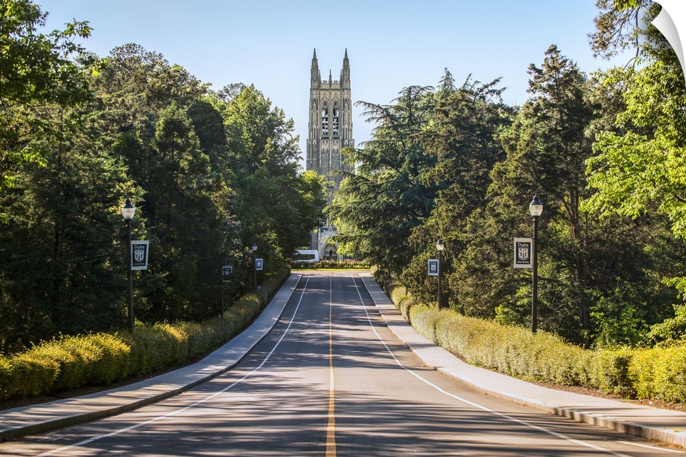Road leading to the steeple of Duke Chapel, Duke University, Durham, North Carolina.