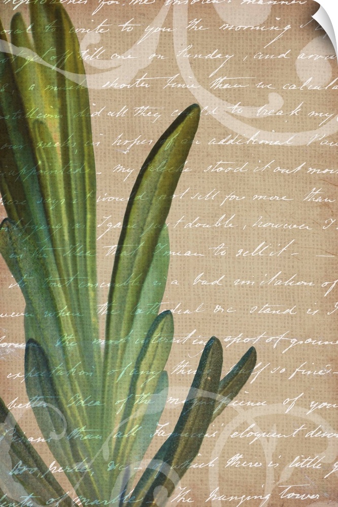 Vintage style artwork of a sprig of rosemary with white handwritten text.