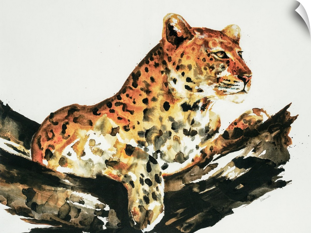 Waterolor painting of a leopard sitting serenely in a tree.