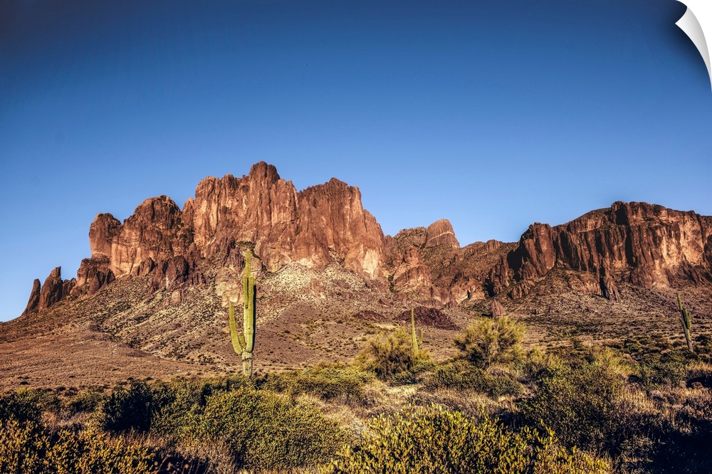 Saguaro cactus and Superstition mountain in Phoenix, Arizona.