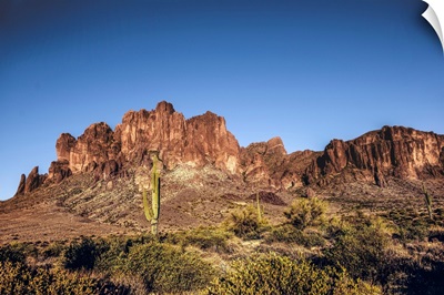 Saguaro Cactus And Superstition Mountain In Phoenix, Arizona