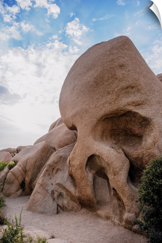 View of Skull rock in Joshua Tree National Park, California.