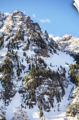 Snow and pine trees on the mountainside, Maroon Bells, Colorado