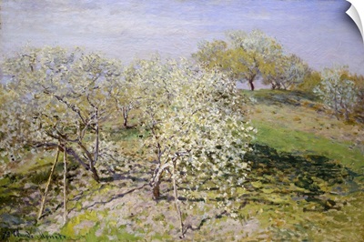Spring (Fruit Trees in Bloom)