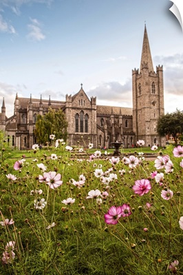 St Patrick's Cathedral and Flowers, Dublin, Ireland