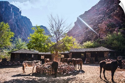 Stable Near Bright Angel Trail In Grand Canyon National Park, Arizona