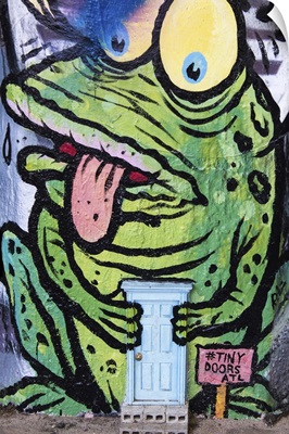 Street art of a frog with a miniature door in Krog Street Tunnel, Atlanta, Georgia