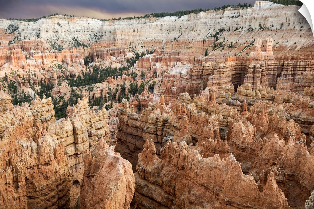 Deep crevices and tall hoodoo rock formations in Bryce Canyon Amphitheater, Bryce Canyon National Park, Utah.