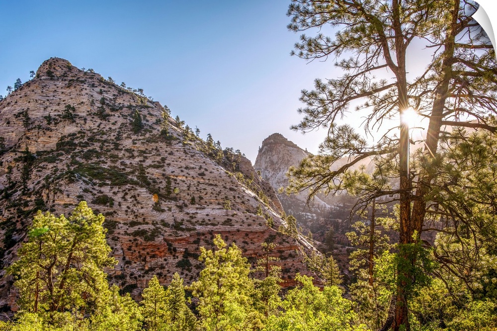 View of mountainside and sun peeking through tree at Zion National Park in Utah.