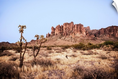 Superstition Mountain, Phoenix, Arizona