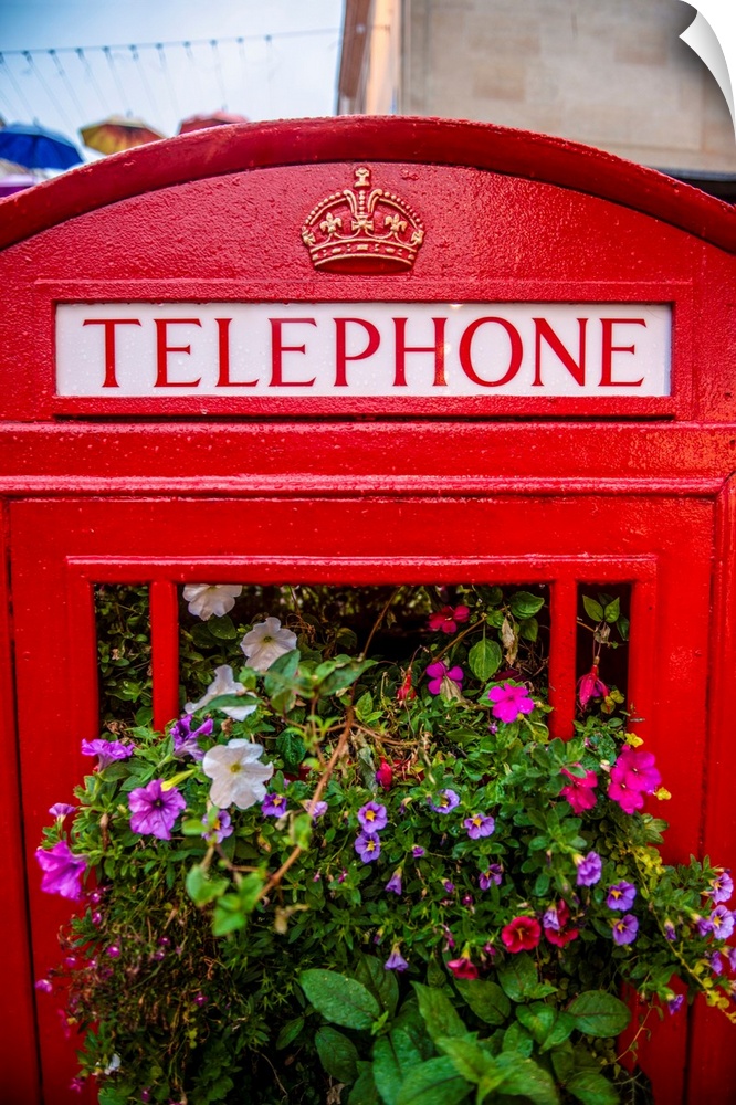A traditional British red telephone booth filled with plants in the city of Bath.