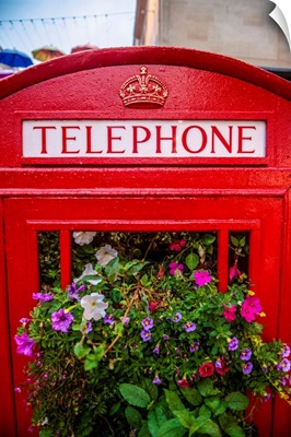 Telephone Booth And Flowers, Bath, England