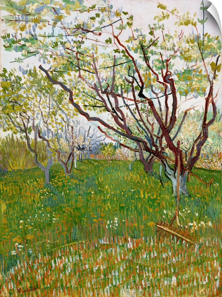 The arrival of spring in Arles in 1888 found Van Gogh in a fury of work. As he wrote to his brother Theo, the trees are in...