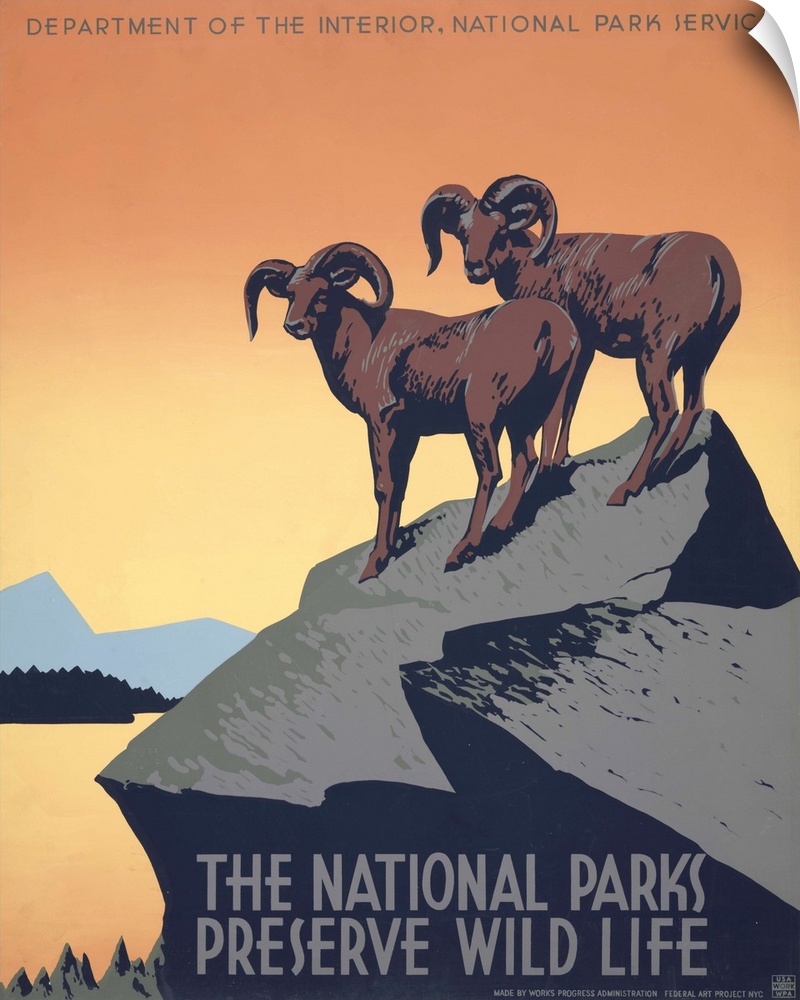 The national parks preserve wild life. Poster for National Park Service promoting travel to national parks, showing two bi...