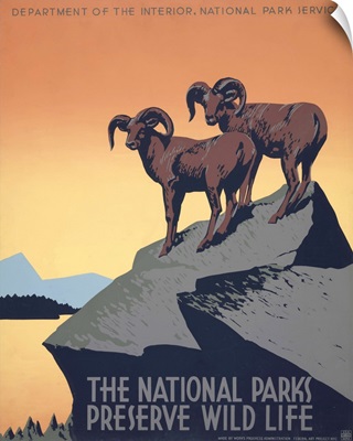 The National Parks Preserve Wild Life - WPA Poster