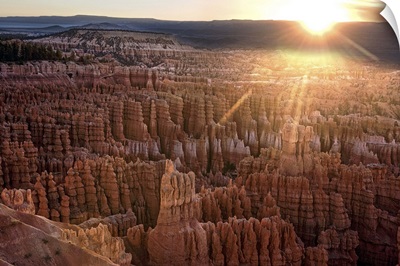 The sun on the horizon shining on the hoodoos in Bryce Canyon Amphitheater, Utah
