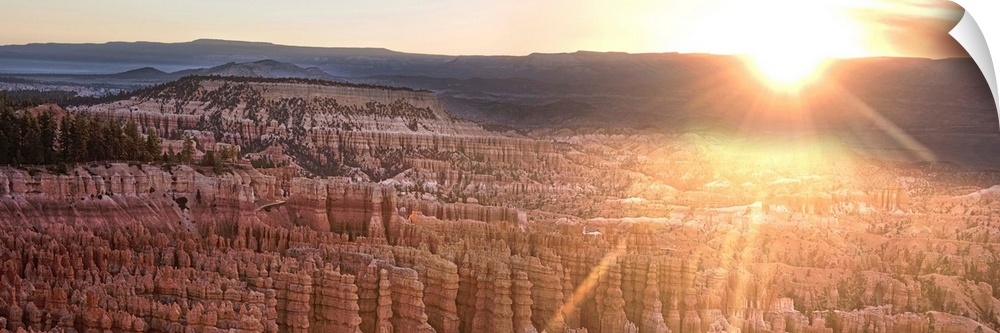 Panoramic view of bright sunlight at twilight  Bryce Canyon Amphitheater in Bryce Canyon National Park, Utah.