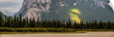 Trees Line The Edge Of Vermilion Lakes, Banff National Park, Alberta, Canada