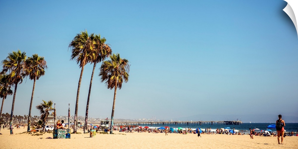 View of Venice beach with fishing pier in the background, Los Angeles.
