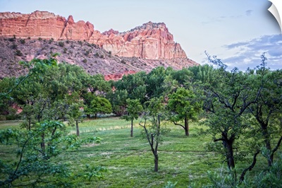View of Capitol Reef Rock Ridges from Orchards, Capitol Reef National Park