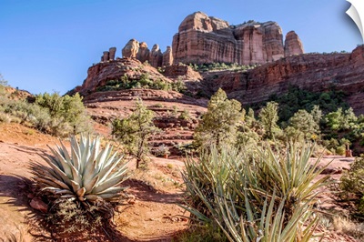 View Of Cathedral Rock From Templeton Trail, Sedona, Arizona