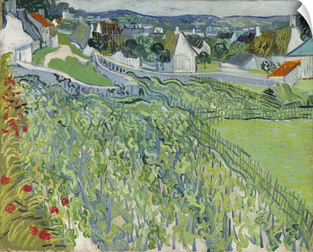Vincent van Gogh's Vineyards at Auvers (1890) famous landscape painting.