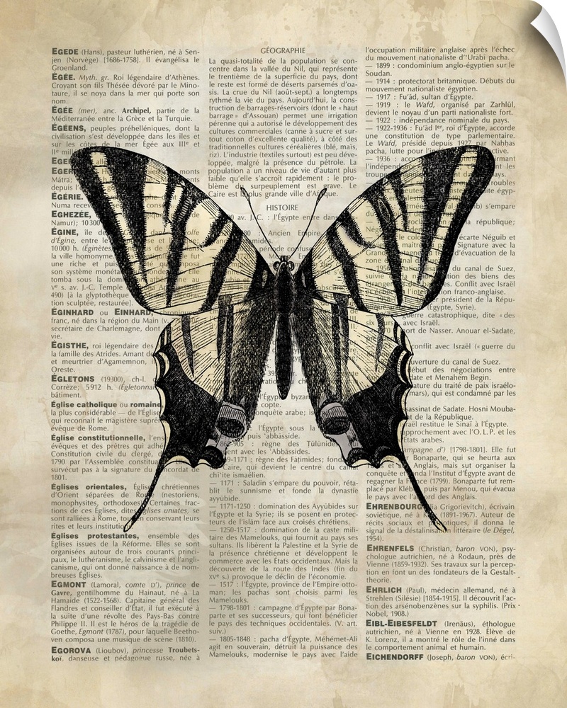 Vintage Dictionary Art: Butterfly 2