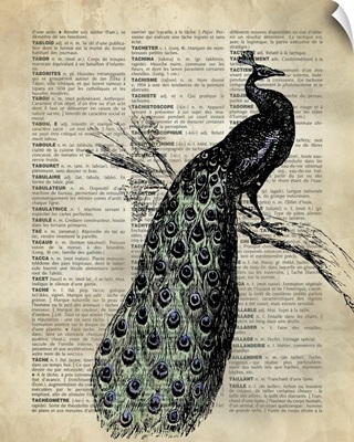 Vintage Dictionary Art: Peacock