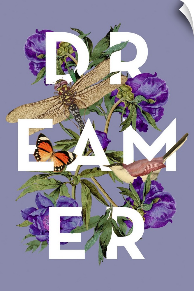 A collage of vintage flowers, birds and insects intertwined with the word Dreamer on a green background.