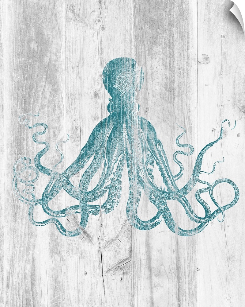 Vintage illustration of a blue octopus over a faux white barnwood background.