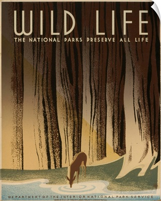 Wild Life, The National Parks Preserve All Life - WPA Poster