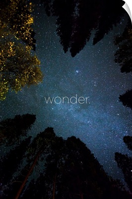Wonder - Zen
