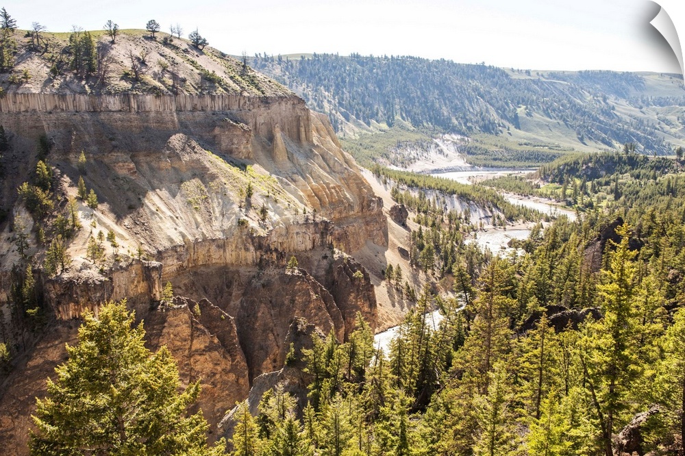 Canyons and lush forests are located at  Yellowstone National Park in Wyoming.