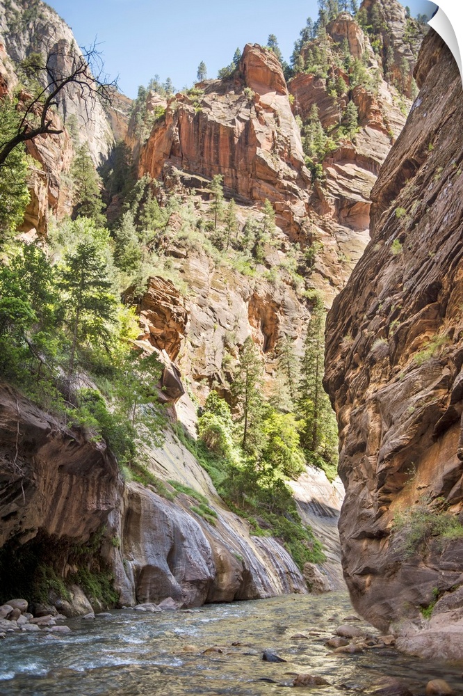 Landscape photograph of the North Fork of the Virgin River at Zion National Park.