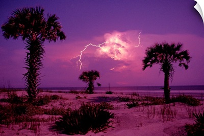 Lightning illuminates the purple sky over Cumberland Island National Seashore in Georgia