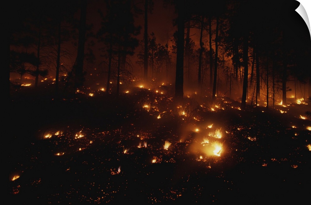 Fires dot the ponderosa pine forest on the Mescalero Indian Reservation.