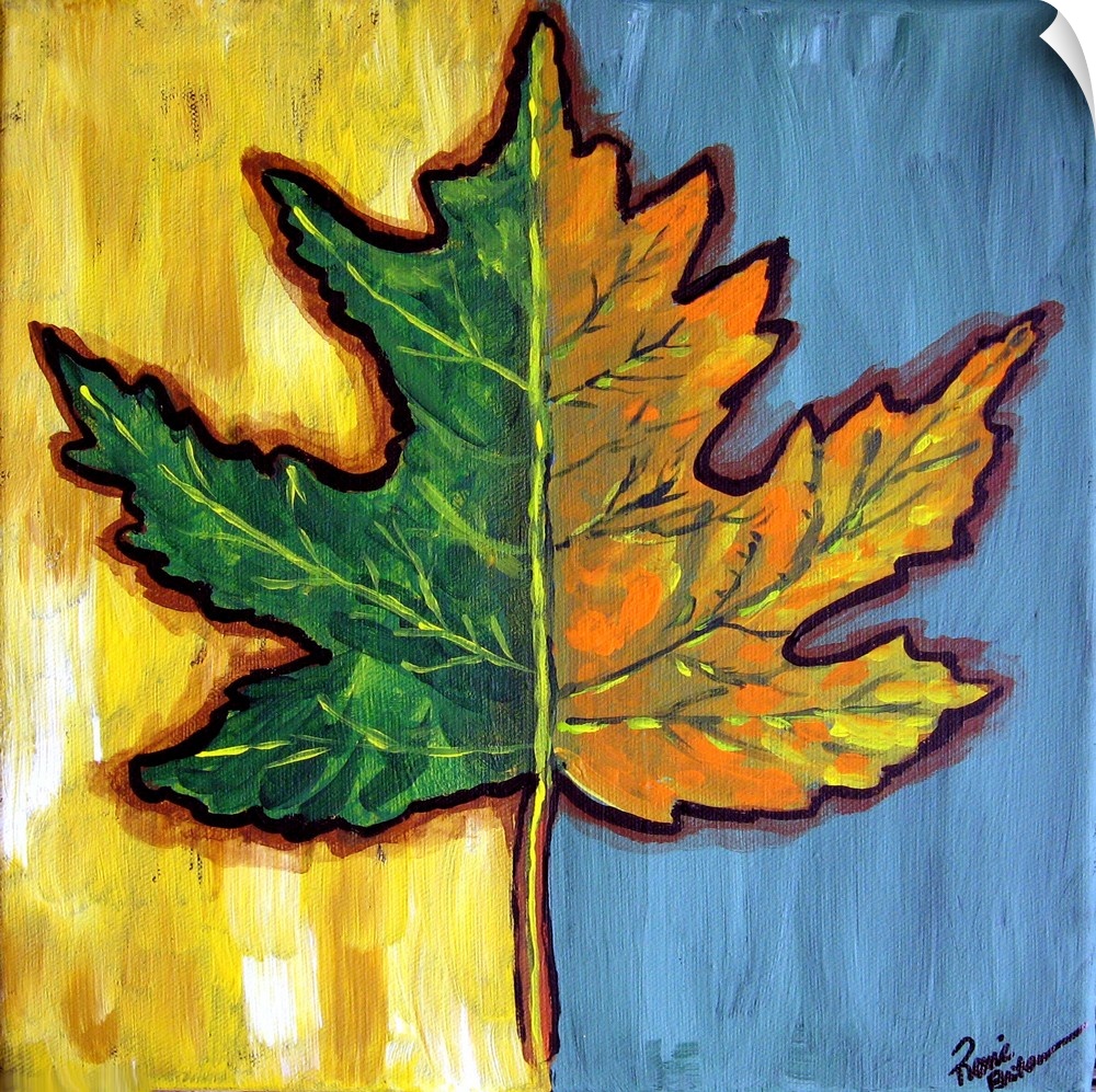 Two tone background with two tone fall leaf.