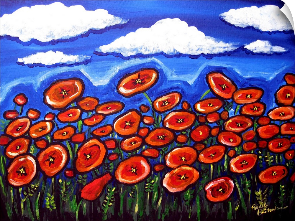 Field of colorful, red Poppies contrast against a deep blue sky.