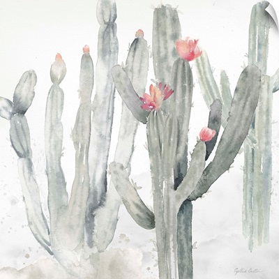 Cactus Garden Gray Blush II