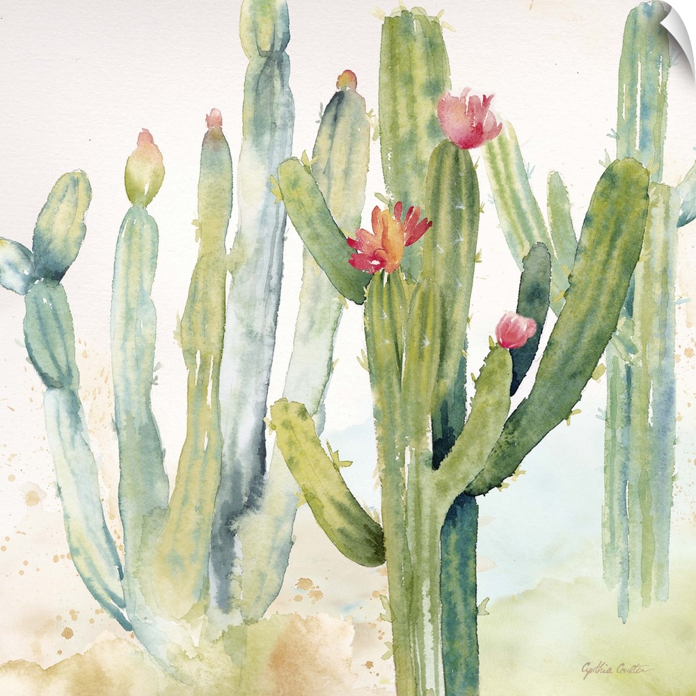 A square decorative watercolor painting of a group of cactus in a garden.