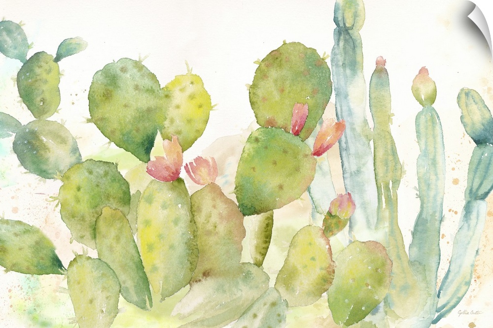 A horizontal decorative watercolor painting of a group of cactus in a garden.