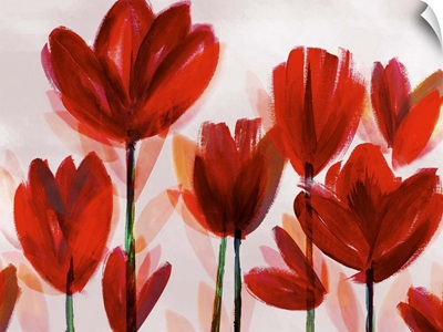 Contemporary Poppies Red