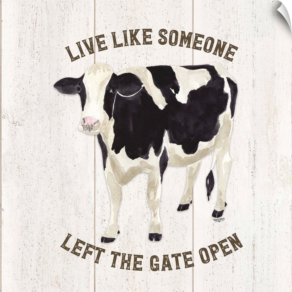 Farm Life Cow Live Like Gate