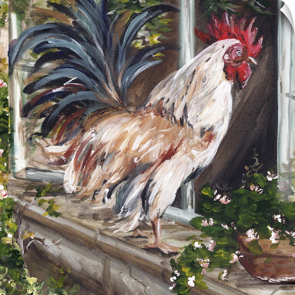 Square contemporary painting in a traditional style of a white and brown rooster perched on a window sill.