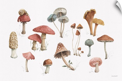 Mushroom Medley 01