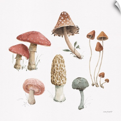Mushroom Medley 03