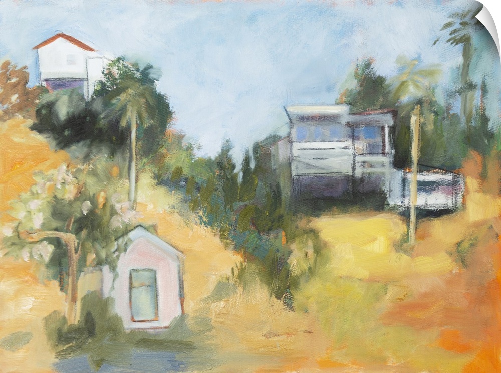 Pink House Amid Palms