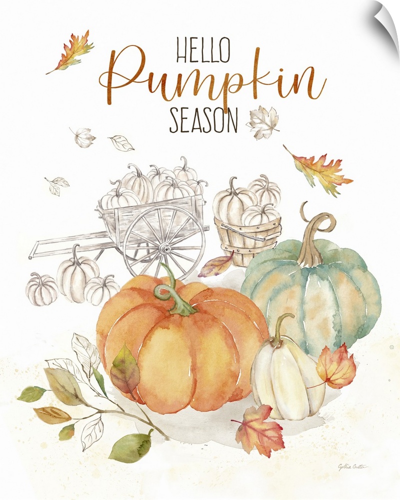 Pumpkin Season V